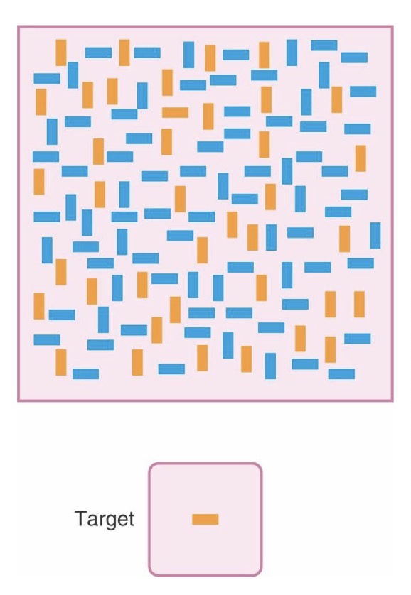 <p>Goal-directed or top-down attention. Goal-directed attention searches item-by-item serially to find goal object. Target does not pop out from background</p>