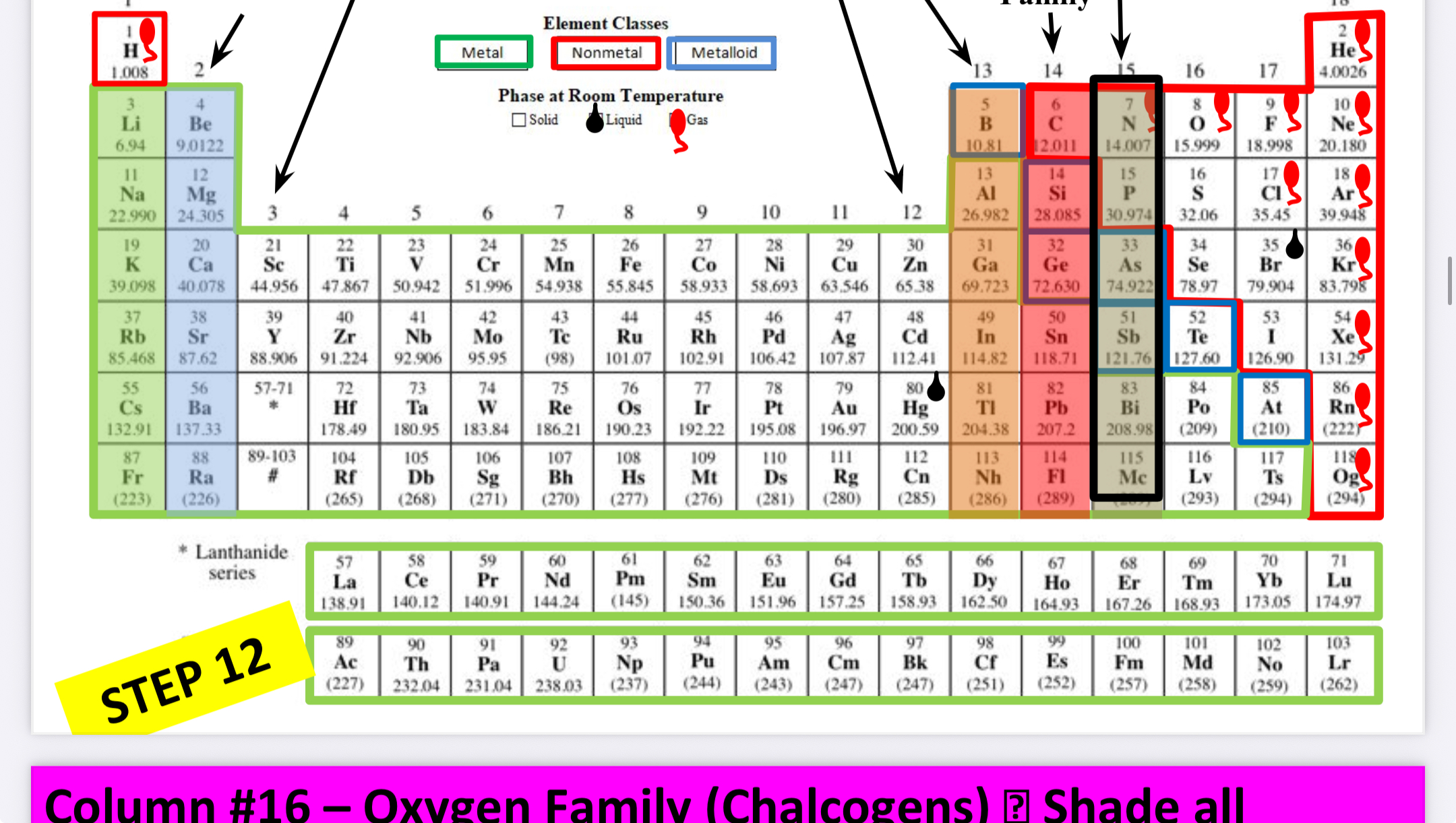 <p>What family is this?</p>