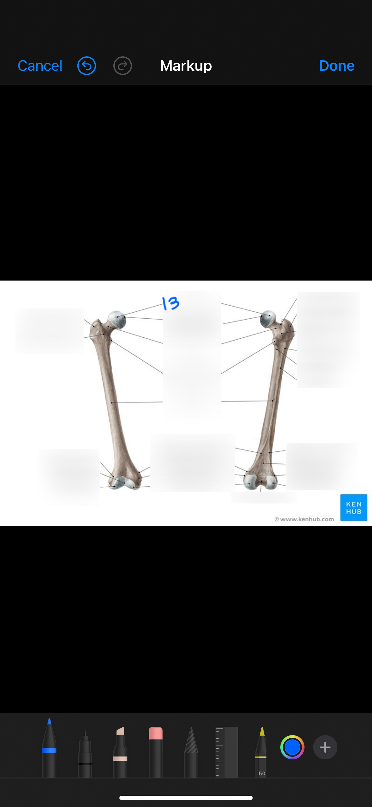 <p>What is 13?</p>