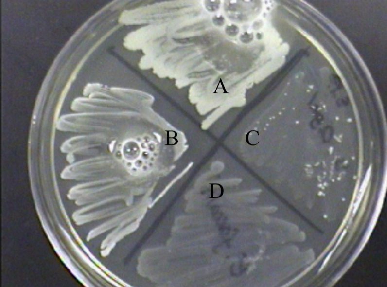 <p>What is the name of this test?</p>