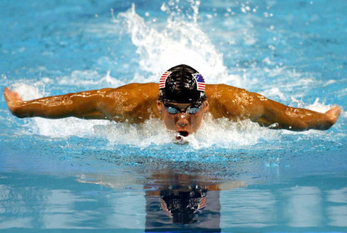 <p>to swim</p>