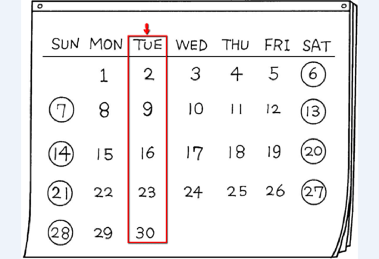 <p>Tuesday</p>