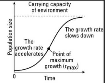 <p>Initial rapid growth, then limiting factors limit population to K</p><ul><li><p><strong>logistic growth/curve</strong></p></li><li><p>environmental resistance → factors that limit growth</p></li><li><p>S-shaped</p></li></ul><p></p>