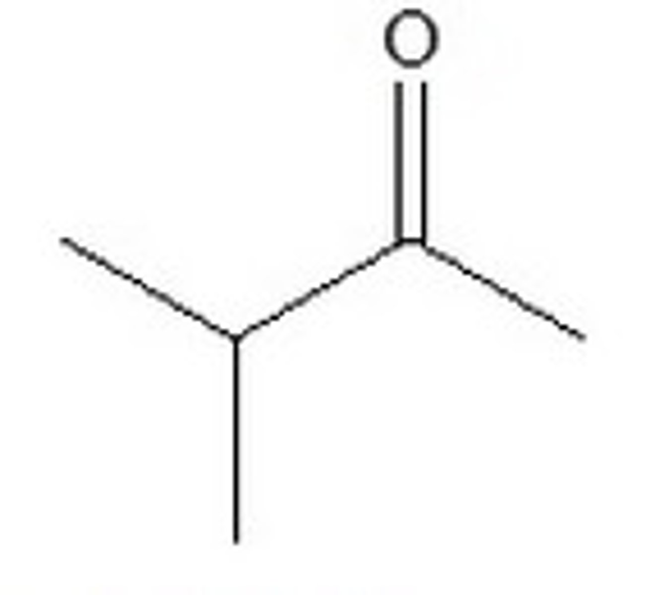 <p>19.2</p>