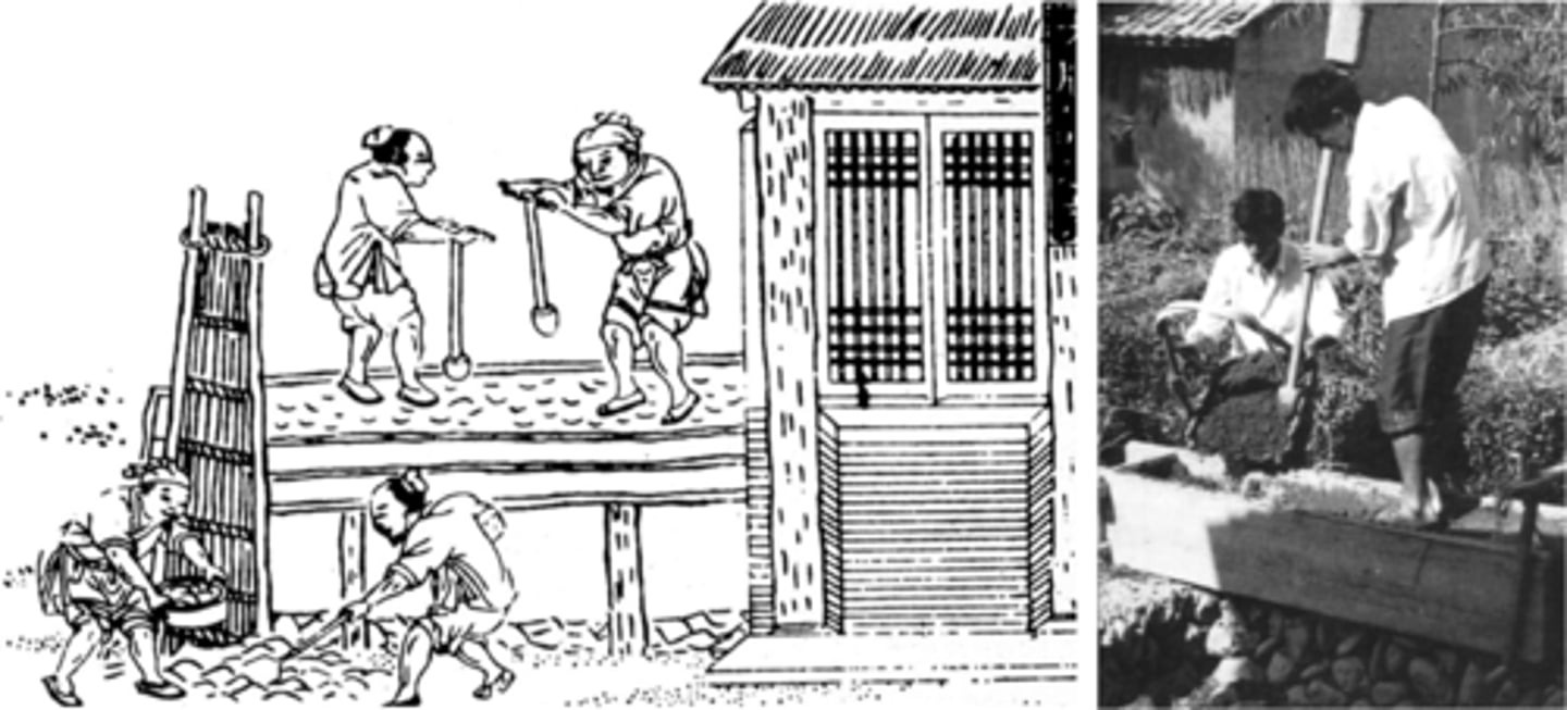 <p>A construction technique using compacted earth to build solid walls or platforms. Used in La Venta's pyramid and platforms.</p>