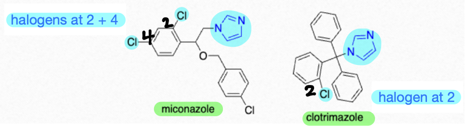 <ul><li><p>miconazole: Cl at 2’ + 4’</p></li><li><p>clotrimazole: Cl at 2’ only</p></li></ul><p></p>