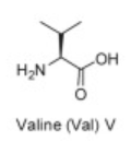 <p>Val</p>