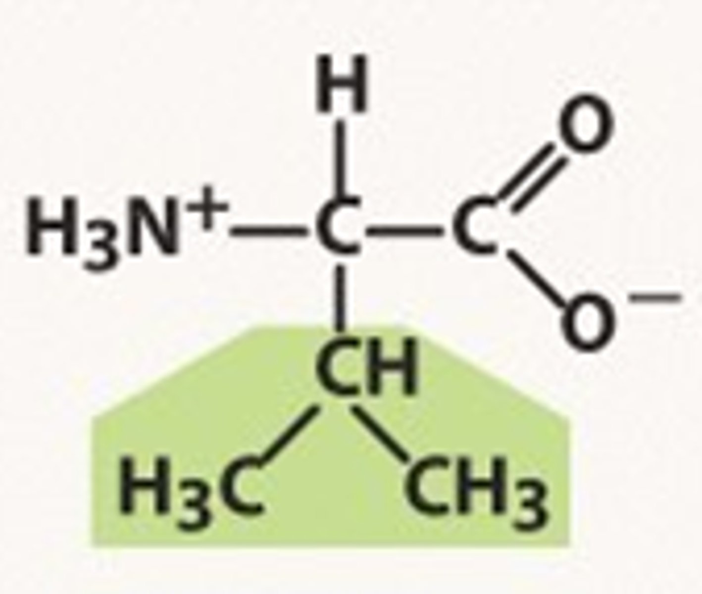 <p>Val, V, nonpolar</p>