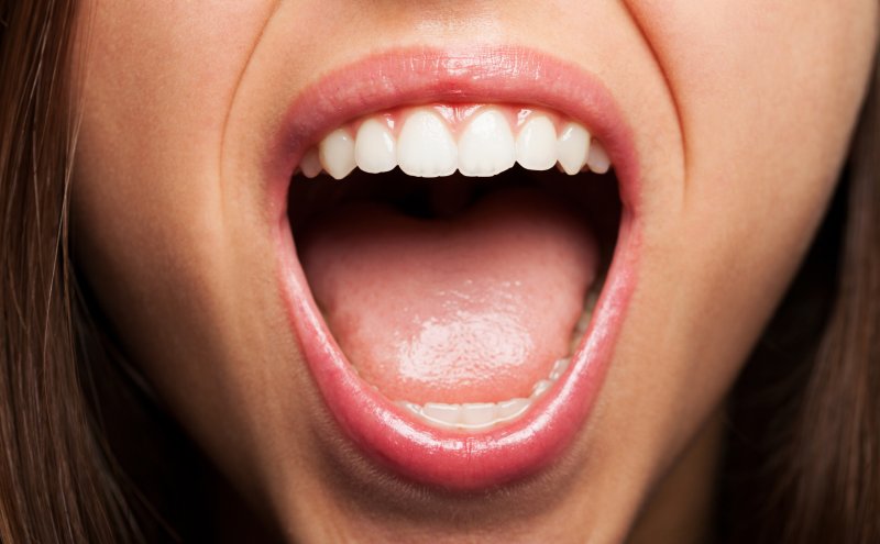 <p>Mouth </p>