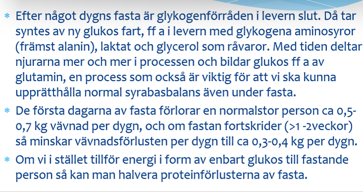 <ul><li><p>Eter 1a dygnen är glykogenförråden i levern slut. </p></li></ul><p></p>