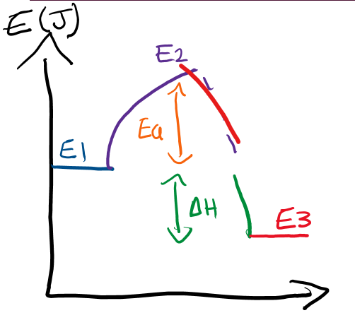 <p>a diagram of different energies involved in a reaction</p>