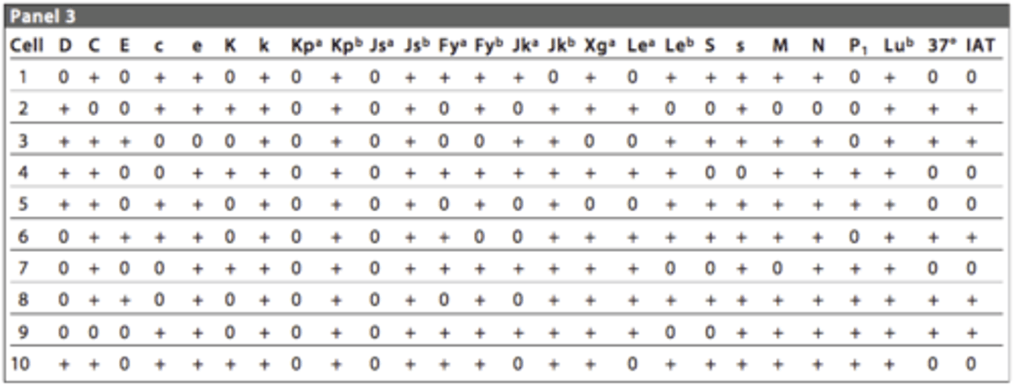 <p>One antibody is only reacting with homozygous cells</p>