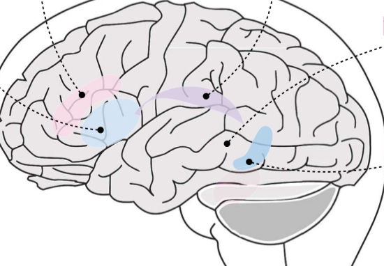 <p>Dark blue area? </p>