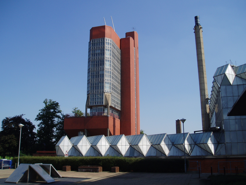 term image