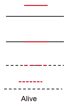 <p>Selfish, ___-_____ RNA inserts into Essential Gene</p><p></p>
