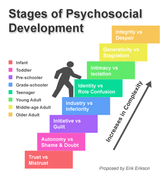 <p>1. trust vs. mistrust<br>2. autonomy vs. shame and doubt<br>3. initiative vs. guilt<br>4. industry vs. inferiority<br>5. identity vs. role confusion<br>6. intimacy vs. isolation<br>7. generativity vs. stagnation<br>8. integrity vs. despair</p>