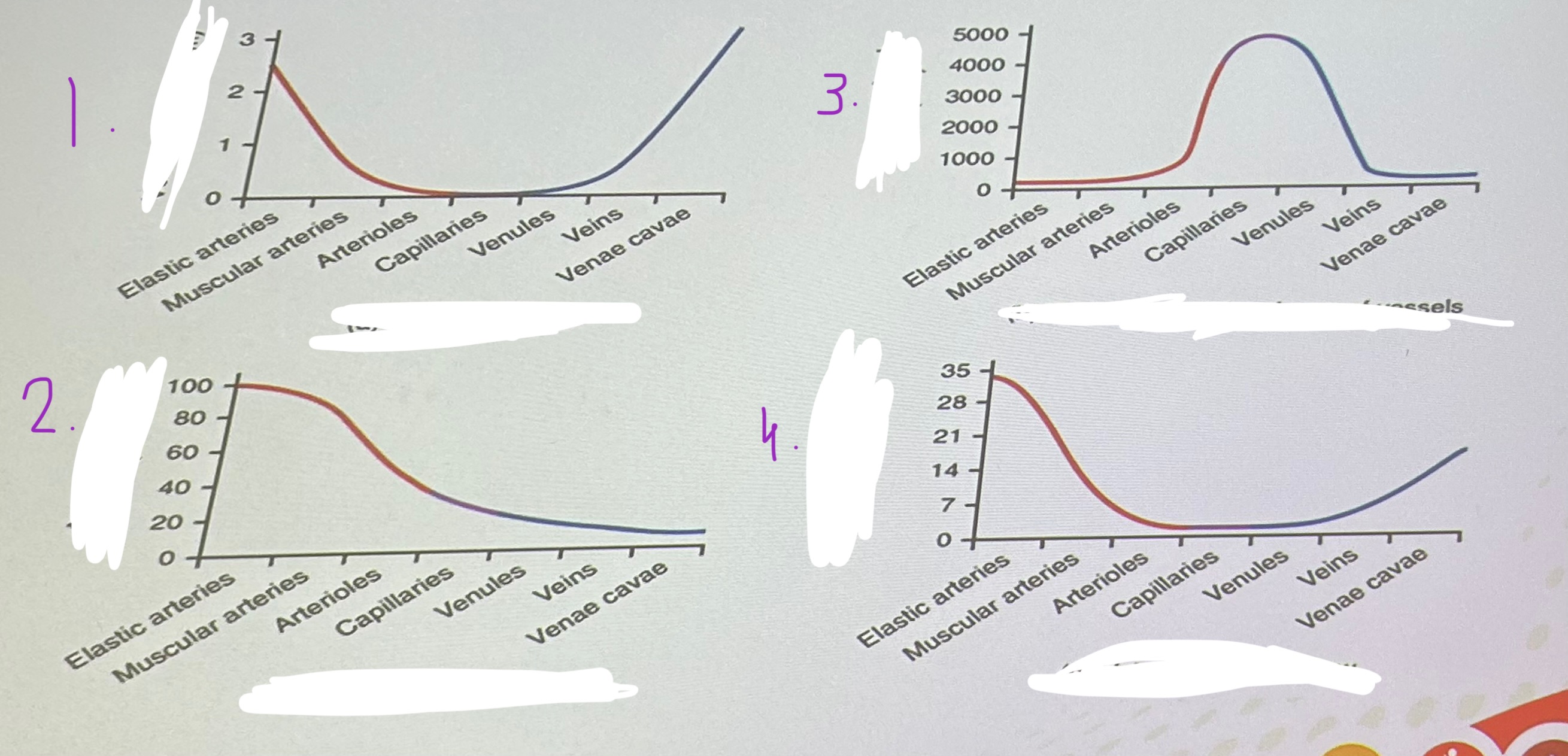 <p>What key factor in relation to BP is shown in diagram one?</p>