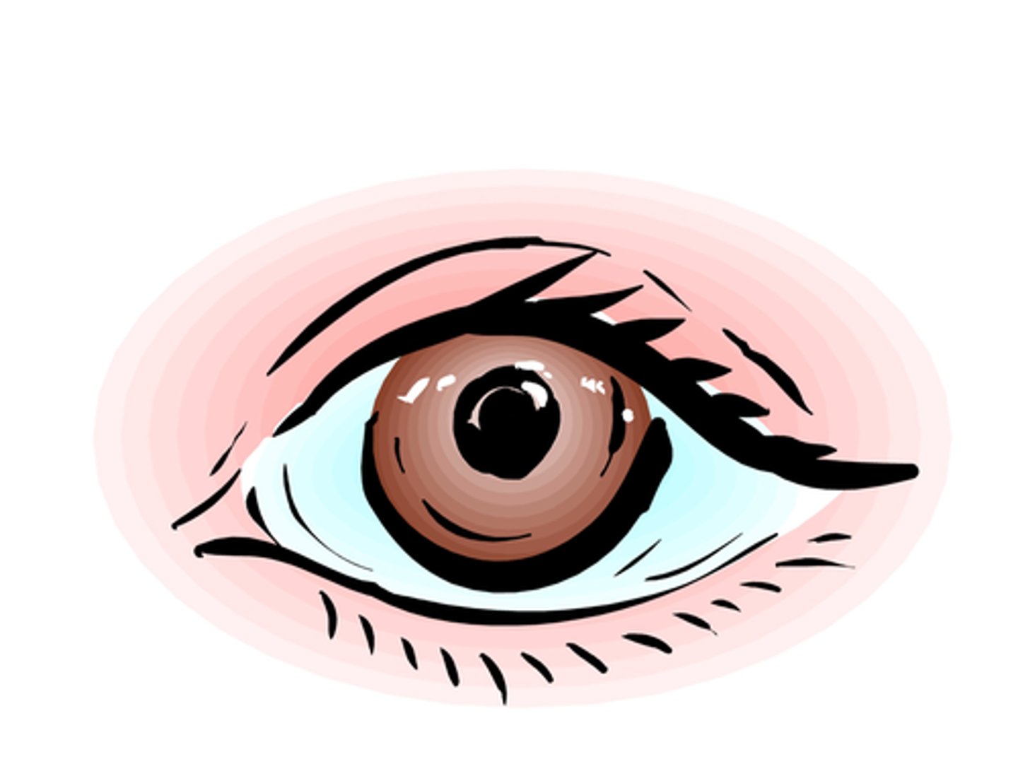 <p>look</p>