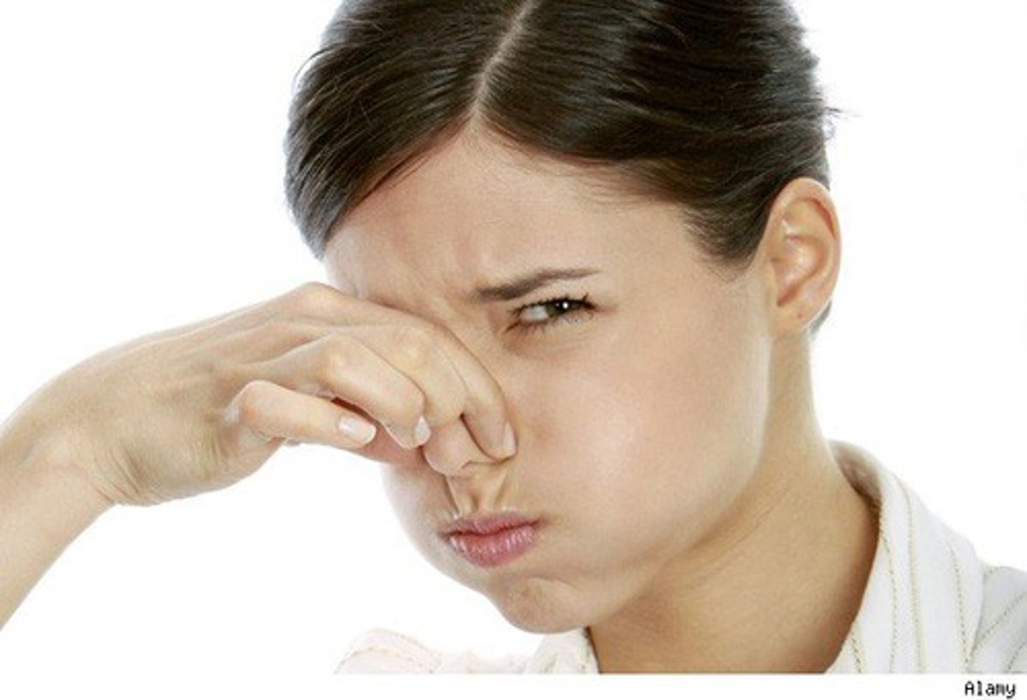 <p>smell</p>
