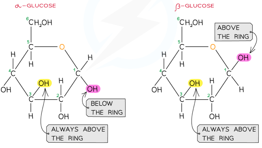 <p>Glucose is a <strong>hexose</strong> sugar with two isomers- they both have the formula C6H12O6</p>