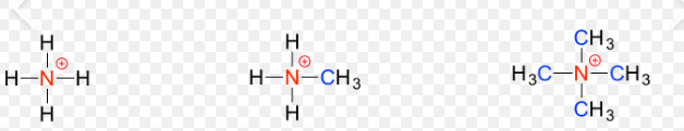 <p>What is this functional group? </p>