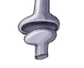 <p>Condyloid joints </p>