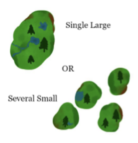 <p>lower E, more interior habitat, supports area-demanding taxa</p>