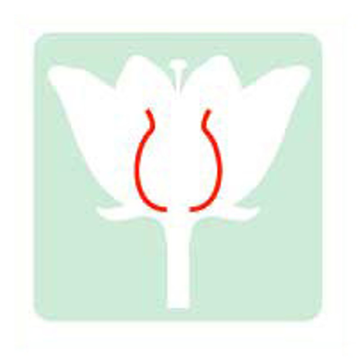 <p>Supports the anther</p>