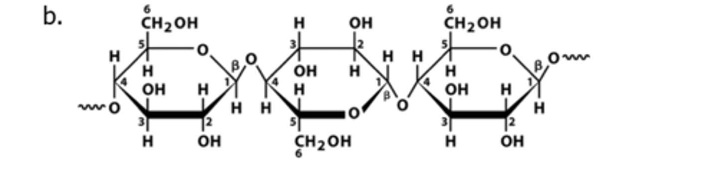 <p>Polysaccharides that provide structural support for plants</p>