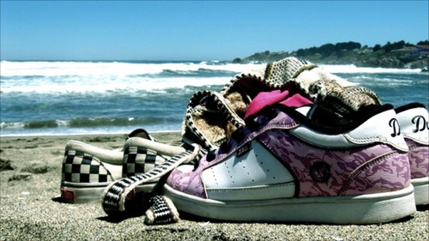 <p>the sneakers</p>