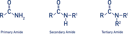<p><strong>Primary</strong> amide, nitrogen is bonded to <strong>one</strong> carbon.</p><p><strong>Secondary</strong> amide, nitrogen is bonded to <strong>two</strong> carbons.</p><p><strong>Tertiary</strong> amide, nitrogen is bonded to <strong>three</strong> carbons.</p>