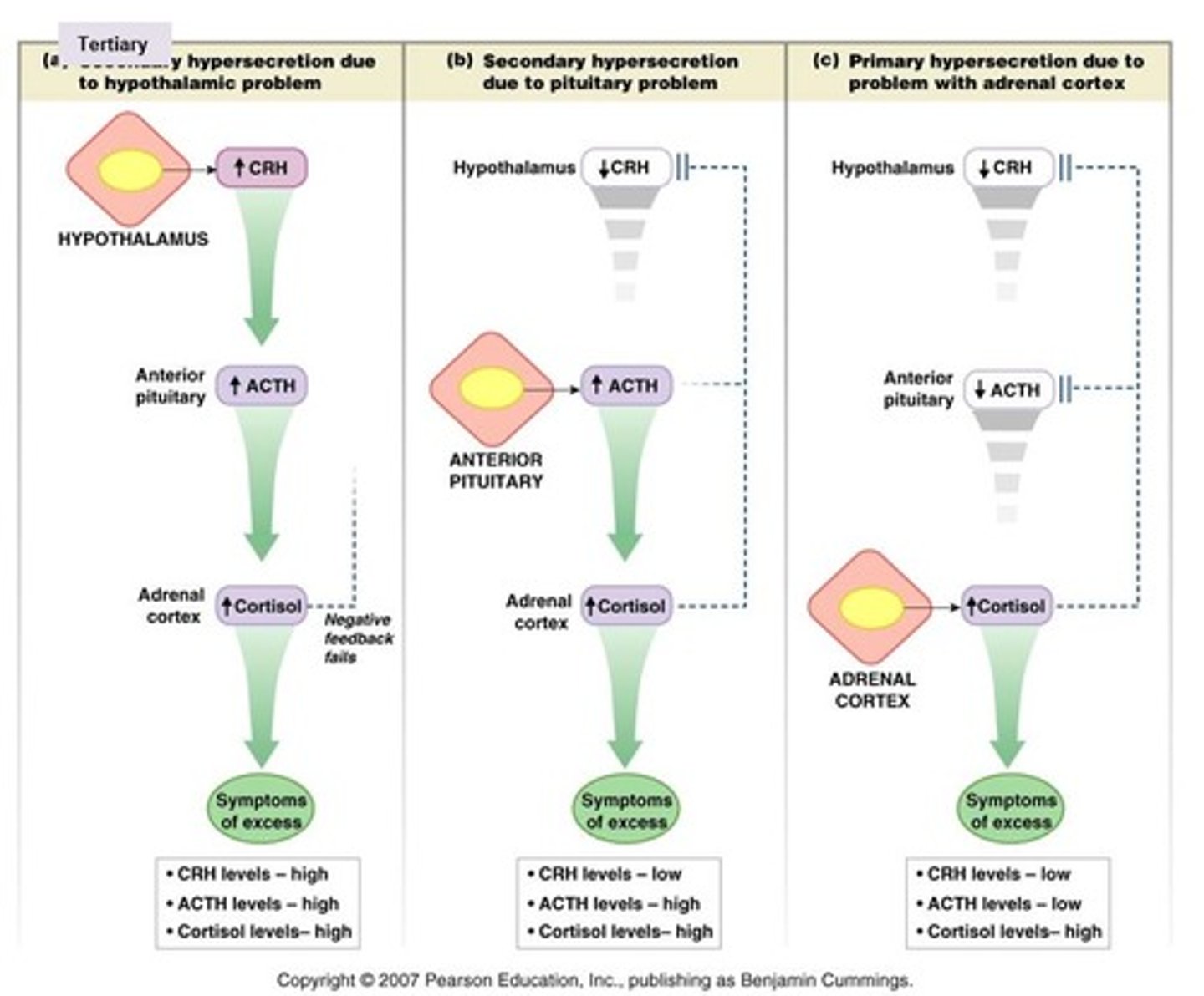 knowt flashcard image