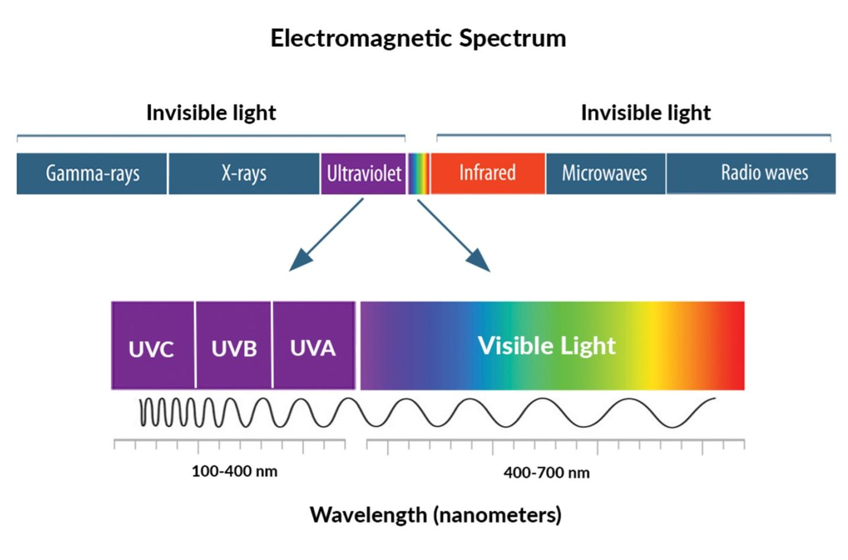 <p>UV-A</p>