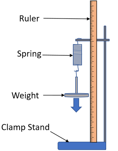 <ul><li><p>Record stand and clamp</p></li><li><p>Metre ruler</p></li><li><p>Spring</p></li><li><p>Mass carrier</p></li><li><p>100g masses</p></li><li><p>Safety googled</p></li></ul>