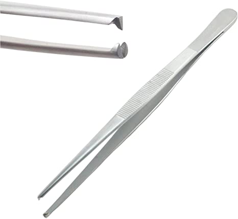 <p>Rat Tooth Forceps</p>