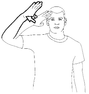 <p>Wave with an open outward pacing palm, from your forehead outwards</p>