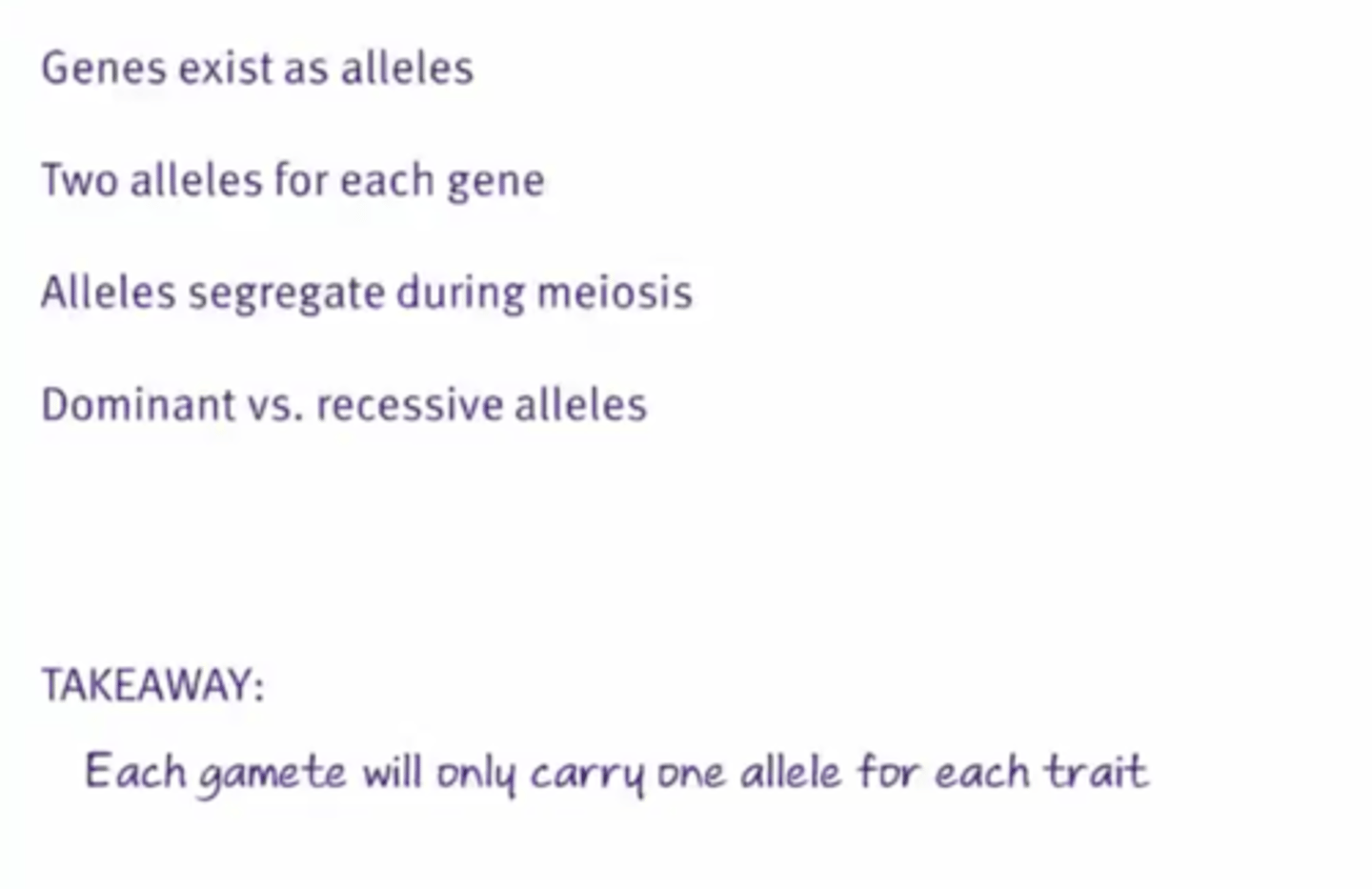 <p>States that an organism:</p><p>1) Has two alleles for each gene</p><p>2) Which separate during meiosis</p><p>3) Resulting in gametes</p><p>4) Carrying only one allele for a trait</p>