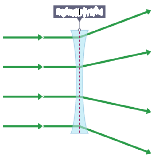<p>What part of a concve lens is this?</p>