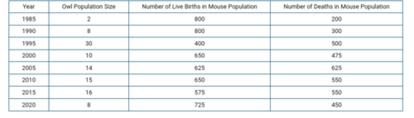 <p>fluctuates between 14 and 16 owls from 2000-2015. Since owls are a K-selected species, this represents the carrying capacity of this species</p>
