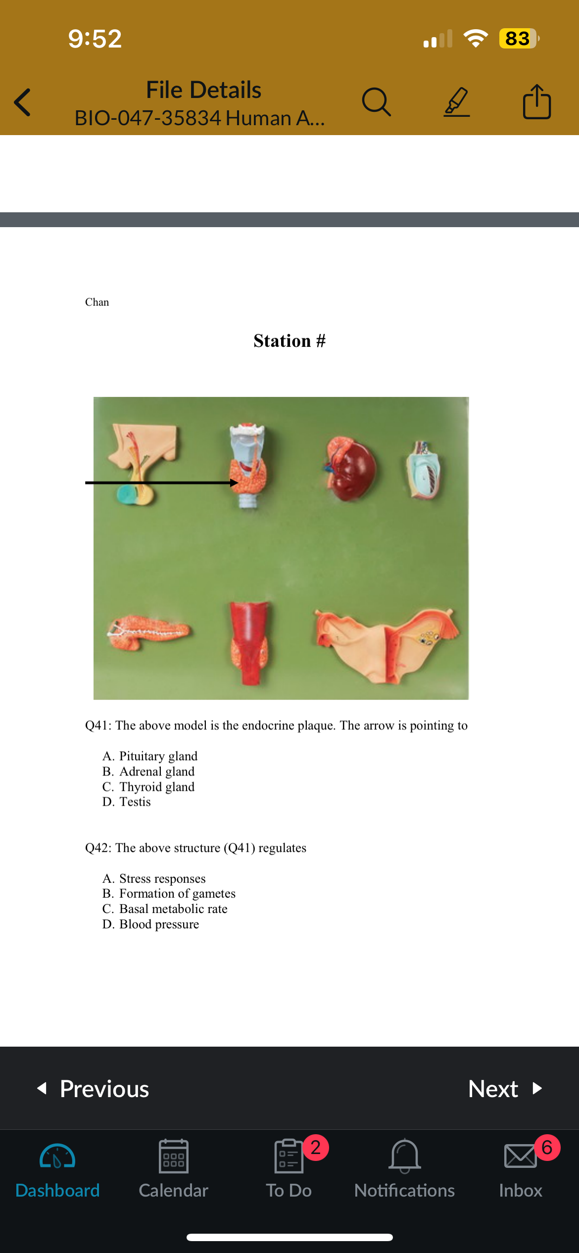 <p>Q42: The above structure (Q41) regulates</p>