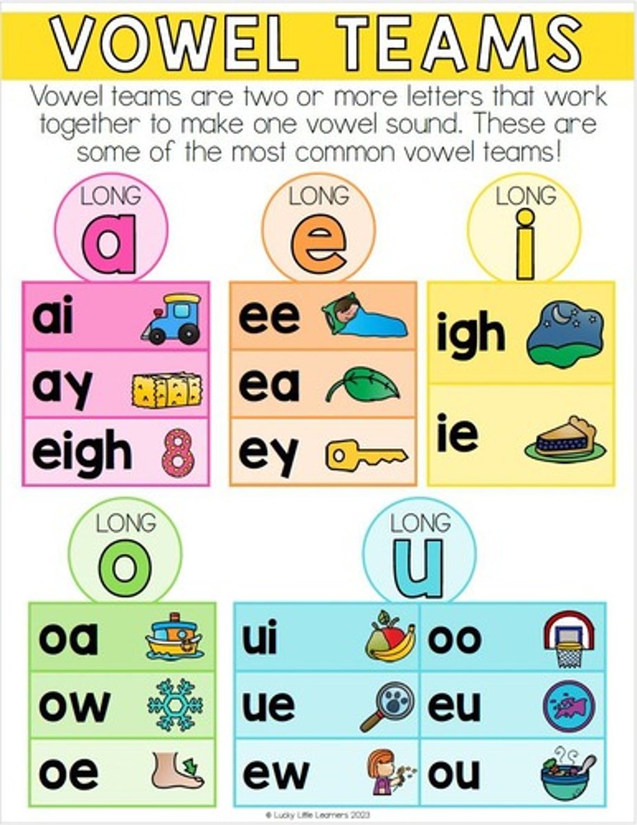 <p>(definition)</p><p>Vowel teams are combinations of two, three, or four letters that stand for a vowel sound.</p><p>(example)</p><p>(short vowels) head, hook (long vowels) boat, rain, weigh (diphthongs) soil, bout</p>