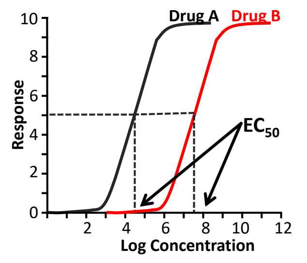 <ul><li><p><strong>amount of drug needed to produce a response</strong> (measured in molar concentration)</p></li><li><p>measured by the effective drug concentration needed to produce the half-maximal response</p><ul><li><p>EC<sub>50</sub> or ED<sub>50</sub></p></li></ul></li></ul><p></p>