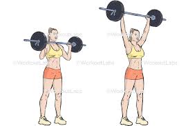 <ul><li><p>Deltoids</p></li><li><p>Triceps Brachii</p></li></ul><p></p>