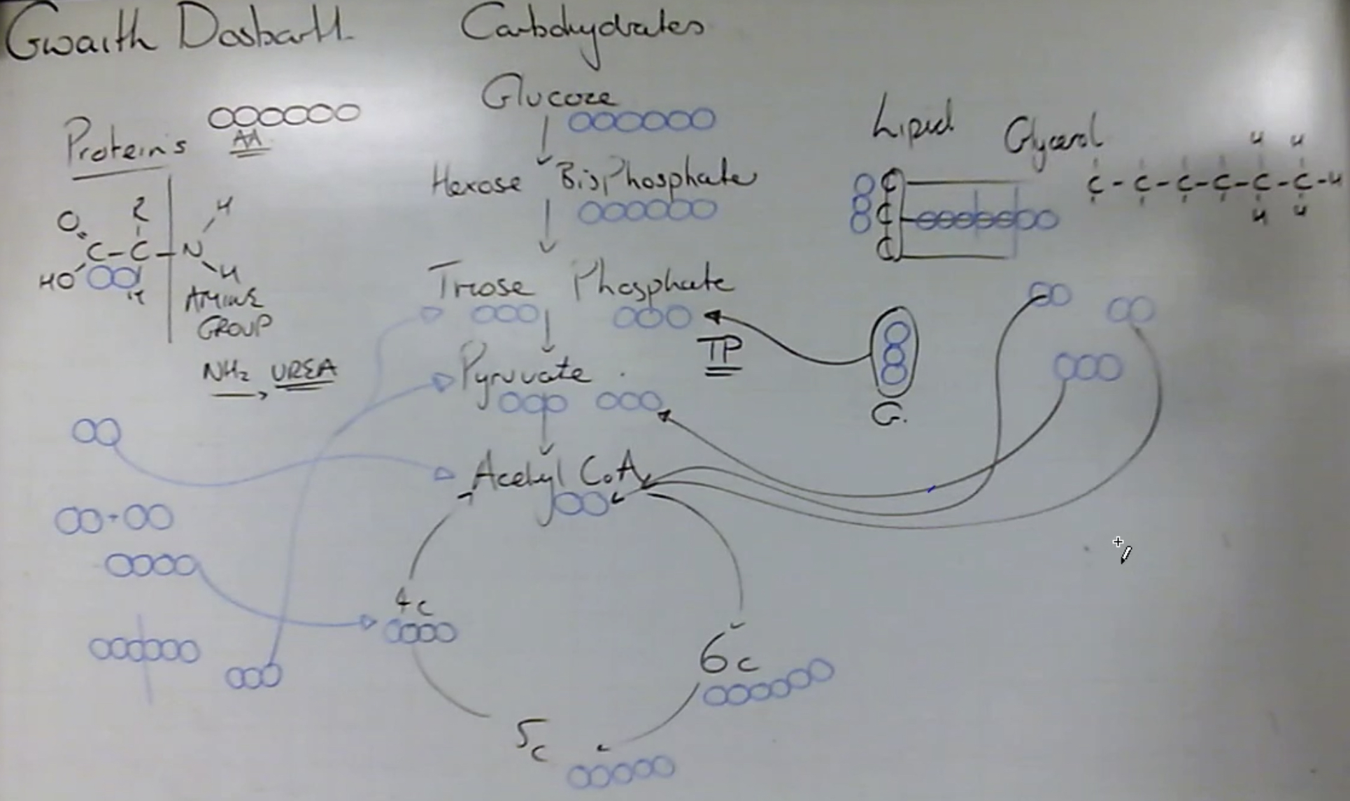 knowt flashcard image