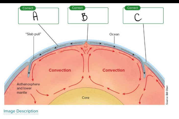 <p>Looking at the geologic structures, what is C? </p>