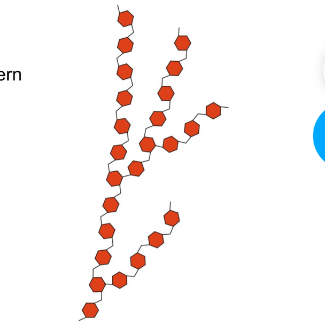 Glycogen structure 