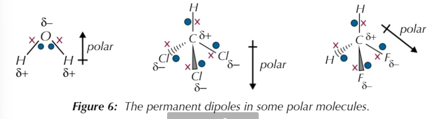 <p>…the molecule has a permanent dipole</p>