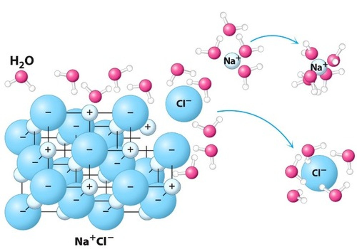 <p>How sodium chloride dissolves in water</p>