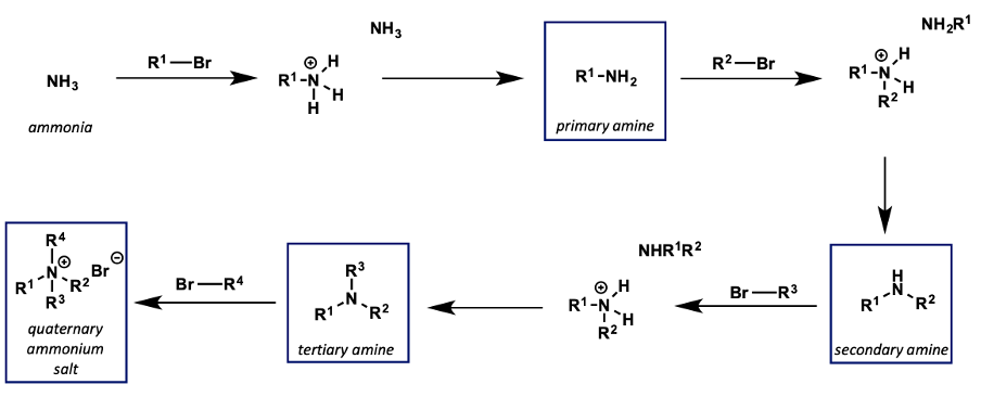 <p>hard to stop the reaction after substitution as they are such good nucleophiles </p>