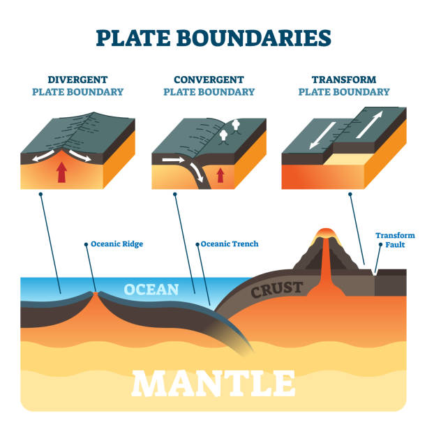 <p>plate tectonics</p>